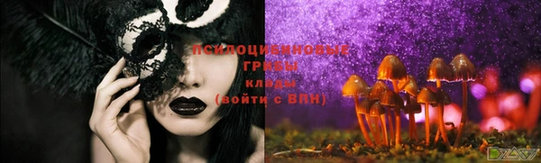 ешки Белоозёрский