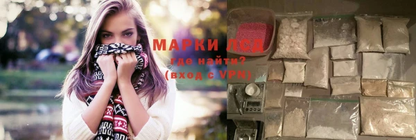 индика Богородицк