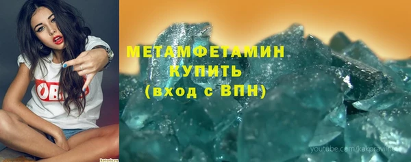 индика Богородицк