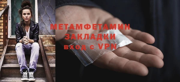 индика Богородицк