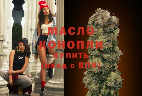 индика Богородицк