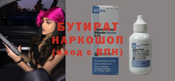 индика Богородицк