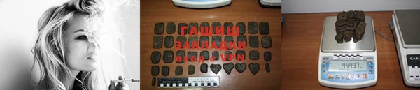 индика Богородицк