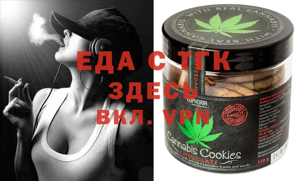 индика Богородицк