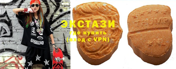 индика Богородицк