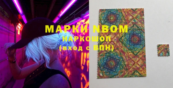 дмт Богданович