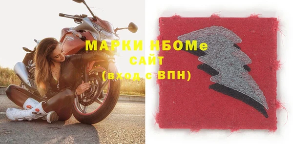 индика Богородицк