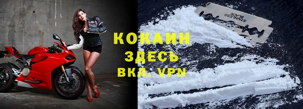 дмт Богданович