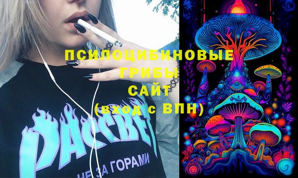 mdma Белокуриха