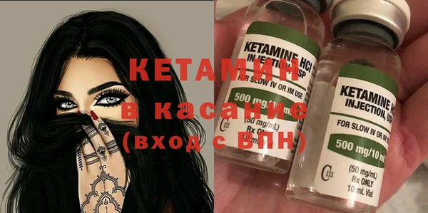 дмт Богданович