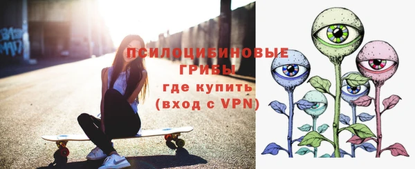 спиды Богородск