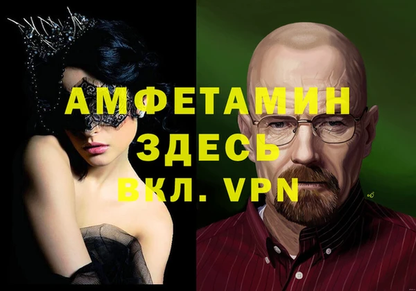 дмт Богданович