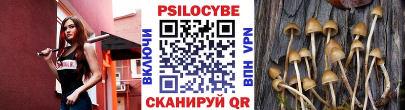 Галлюциногенные грибы Psilocybine cubensis  Велиж 